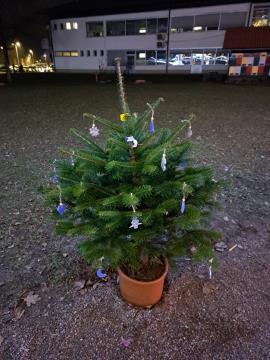 PRAZNIČNA OBČINA ŠKOFLJICA: lokalne skupnosti so okrasile smrečice v drevoredu pri zunanjem igrišču OŠ Škofljica